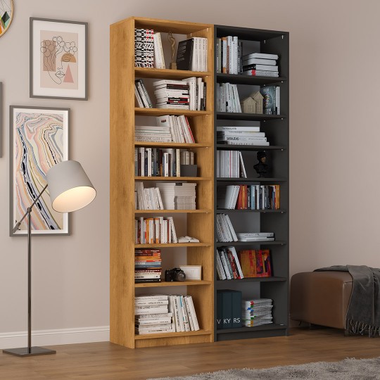 Asra K-18 Petra & Dark Grey Color Bookcase