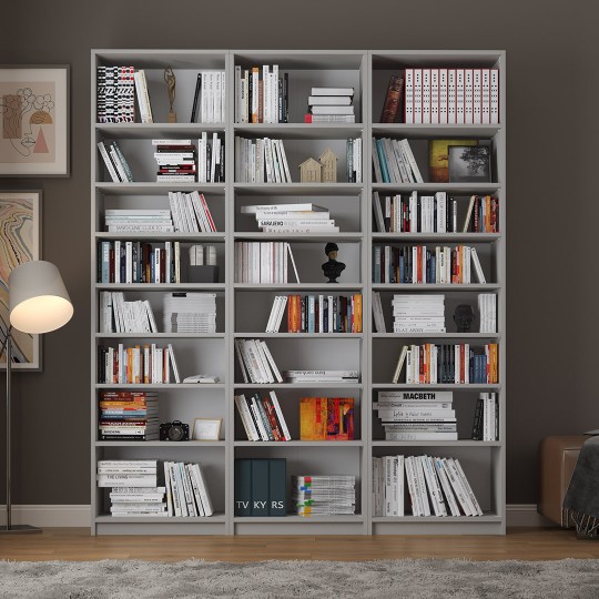 Asra K-22 Ash Grey Color Bookcase