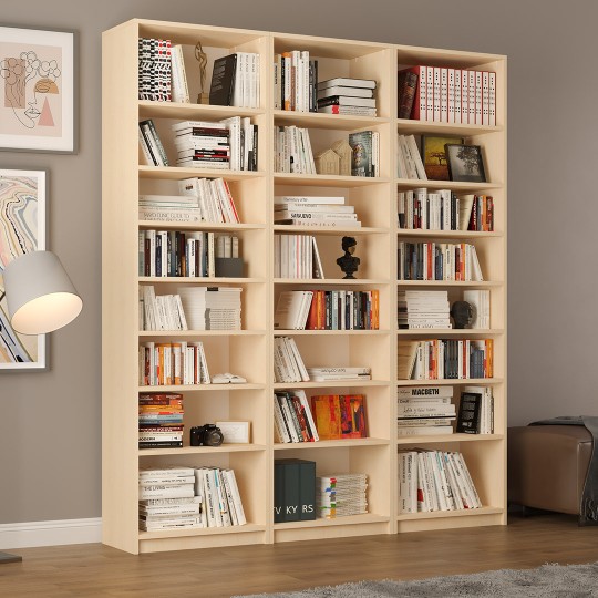 Asra K-23 Ashen Wood Color Bookcase