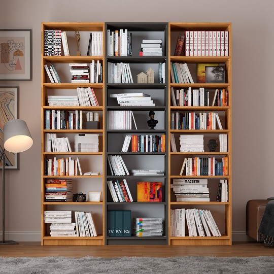 Asra K-29 Dark Gray & Petra Color Bookshelf