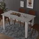 Dining Table M001 Retro Gray