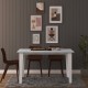 Dining Table M001 Retro Stone