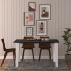 Dining Table M001 Royal Marble